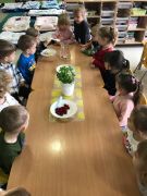 większy obrazek nr 5