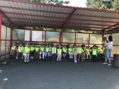 większy obrazek nr 3