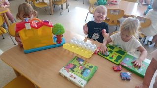 większy obrazek nr 5