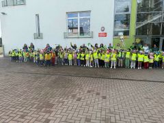 większy obrazek nr 6