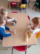 większy obrazek nr 8