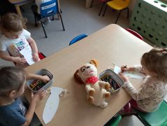 większy obrazek nr 9