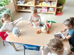 większy obrazek nr 11