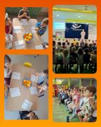 większy obrazek nr 2