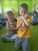 większy obrazek nr 5