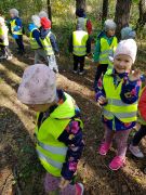 większy obrazek nr 3