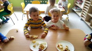 większy obrazek nr 21