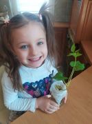 większy obrazek nr 3