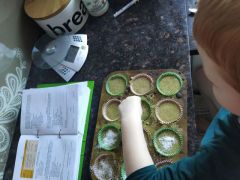 większy obrazek nr 13