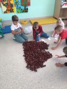 większy obrazek nr 1