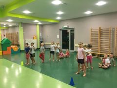 większy obrazek nr 2