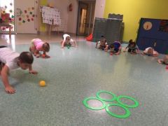 większy obrazek nr 9