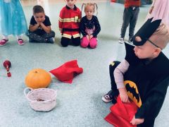 większy obrazek nr 16