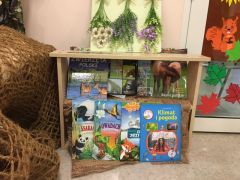 większy obrazek nr 1