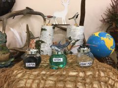 większy obrazek nr 5