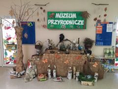 większy obrazek nr 7