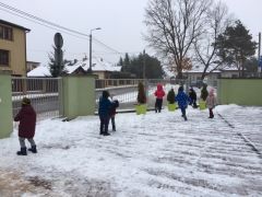 większy obrazek nr 11