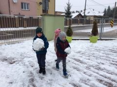 większy obrazek nr 12