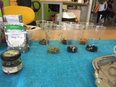 większy obrazek nr 3