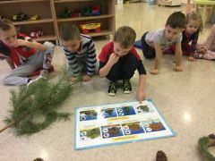 większy obrazek nr 2