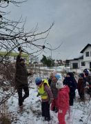 większy obrazek nr 2