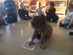 większy obrazek nr 9