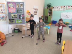 większy obrazek nr 12