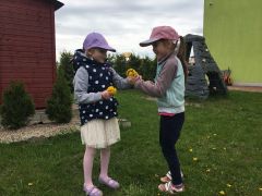 większy obrazek nr 4