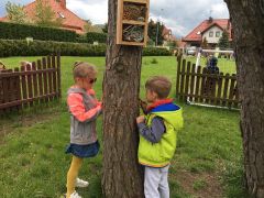 większy obrazek nr 10