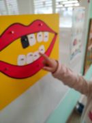 większy obrazek nr 24