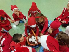 większy obrazek nr 21