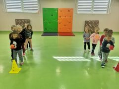 większy obrazek nr 16