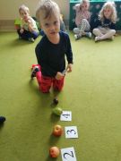 większy obrazek nr 15