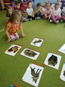 większy obrazek nr 1