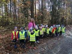 większy obrazek nr 12