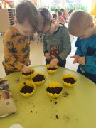 większy obrazek nr 3