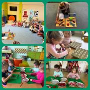 większy obrazek nr 2