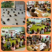 większy obrazek nr 4