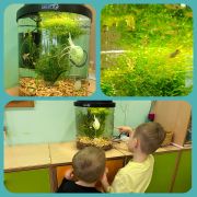 większy obrazek nr 9