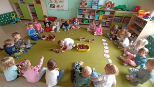 większy obrazek nr 2