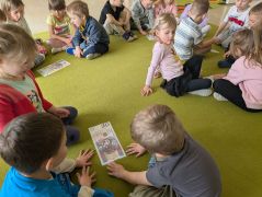 większy obrazek nr 5