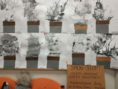 większy obrazek nr 8