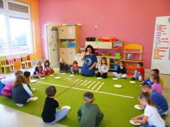 większy obrazek nr 13