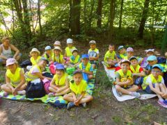 większy obrazek nr 1