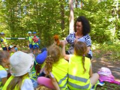 większy obrazek nr 3