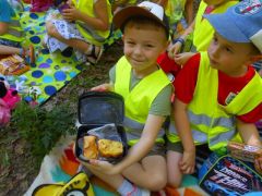 większy obrazek nr 10