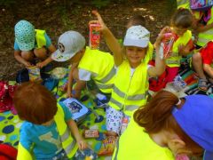 większy obrazek nr 16