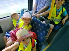 większy obrazek nr 9