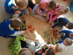 większy obrazek nr 6