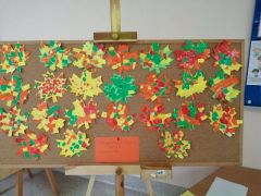 większy obrazek nr 13